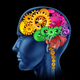 Illustration for article titled How increase in cognition of a person is related to use of Artvigil?